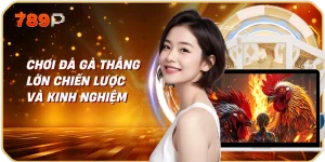 Chơi Đá Gà Thắng Lớn Chiến Lược và Kinh Nghiệm