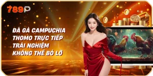 Đá gà Campuchia Thomo Trực Tiếp